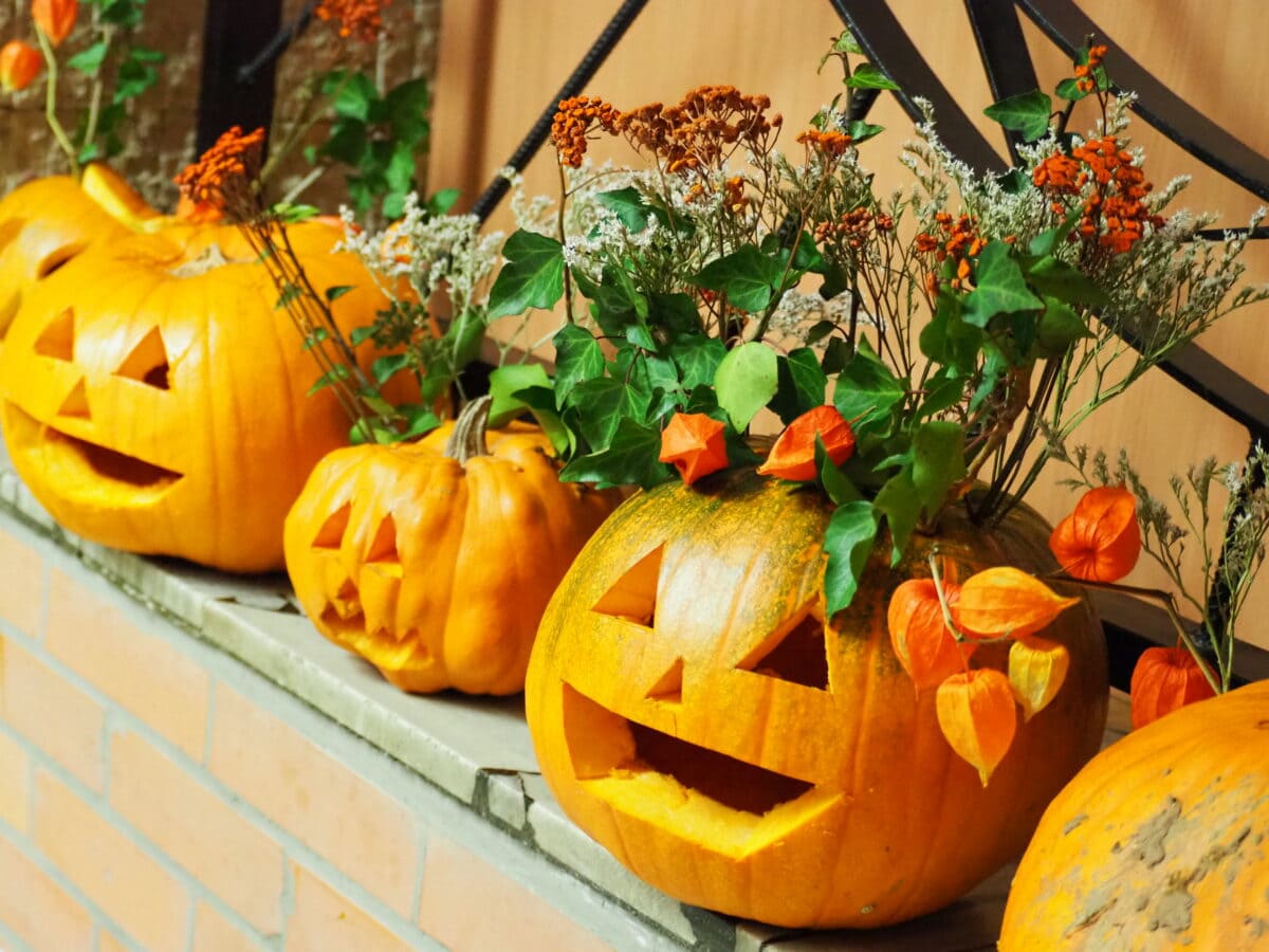 Podzimní dílničky, 25.10.2024 zdobení dýní, malování na textil