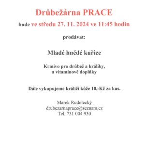 Prodej mladých kuřic, 27.11.2024