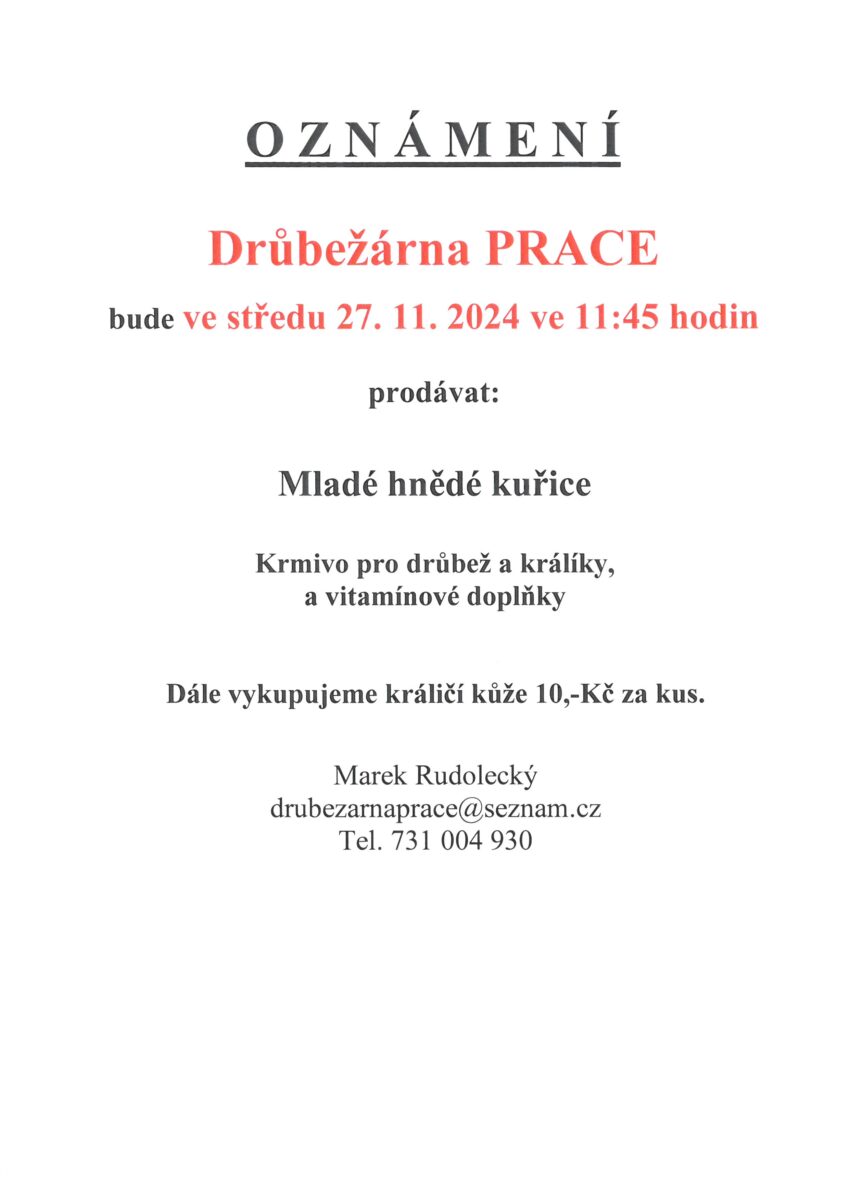 Prodej mladých kuřic, 27.11.2024