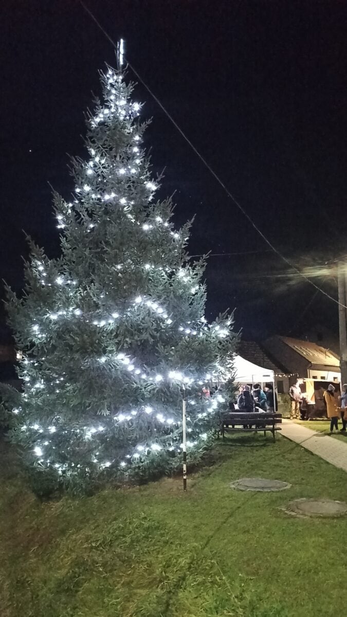 Rozsvícení stromu, 29.11.2024