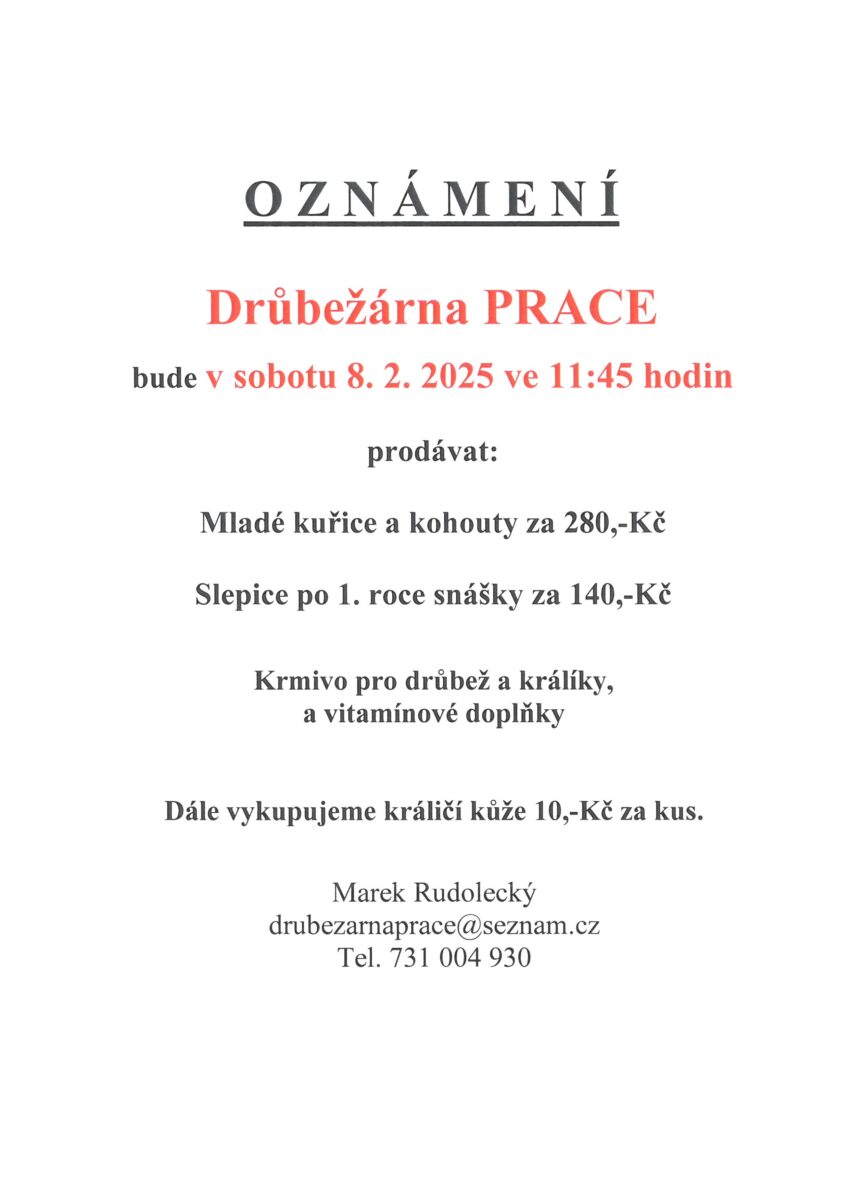 Prodej kuřic a slepic v Hradčanech